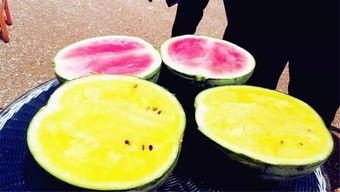 嘎子爆料吃瓜,娱乐圈吃瓜大揭秘,真相令人震惊!